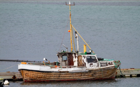 海运运费怎么算