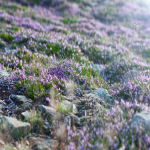 邮件主题一般怎么写