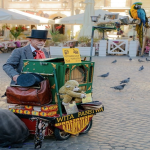 外贸建站公司推荐信怎么写