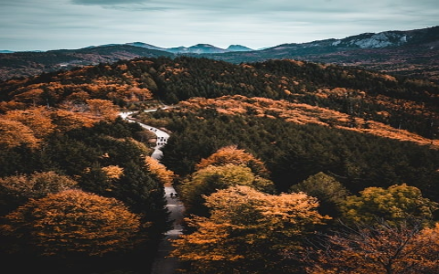 如何做好Tik Tok直播？