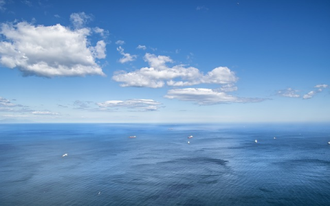 美国集运是什么-