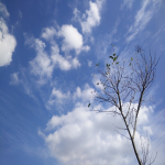 怎么买国外云服务器上外网？