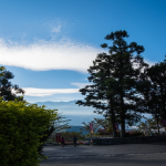 跨境汇款手续费是多少-