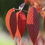 外贸属于什么行业