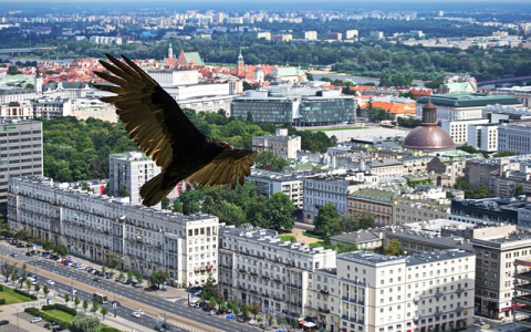 外贸业务涉及哪些活动？