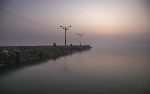 深入解析微软Bing广告的特色与优势