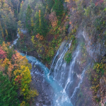 日本雅虎拍卖平台