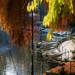 全面指南：Bing广告申请流程及其优势