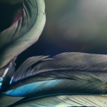 国际货：电商发展的新机遇