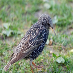 邓白氏码对电商的机遇