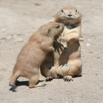 贵阳yahoo原生广告