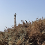 红海市场是什么意思？与蓝海市场有什么区别