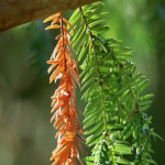 探寻跨境电商平台种类,一网打尽各类平台信息。