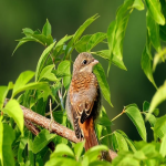 云服务器怎么选