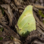 深圳跨境电商排名前十名都有哪些-