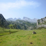 拖拉机单的含义与影响