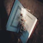 Pinterest如何投放广告