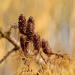 谷歌推广怎么收费