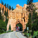 拼多多跨境电商怎么入驻