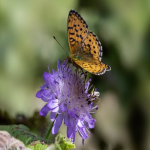 阿里巴巴客服24小时热线：