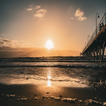 电放提单和正本提单有什么区别和联系