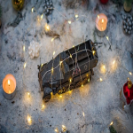 如何查询公司信息