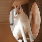 国内网上购物网站推荐