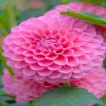 海外仓储包括哪几个部分