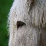 网络推广平台有哪些？