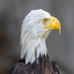 台湾十大电商平台有哪些