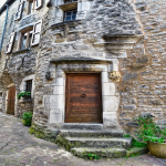 店群是什么意思啊