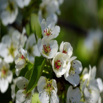 标题:FOBGoods:跨境电商新助手