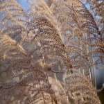 中国跨境电商发展现状研究