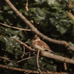 外贸建站平台有哪些项目