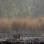 外贸建站服务器选择