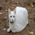 如何注册google邮箱