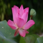 红海市场是什么意思