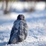 海外仓业务在美国