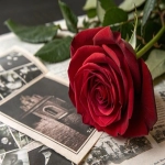 哪一家公司跨境培训做的好