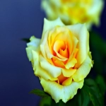 1210和9610模式的区别和优缺点