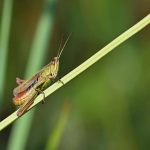 代理费收费标准