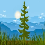 亚马逊如何做好站内推广-