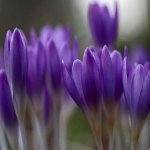 Facebook已否决您的开户申请