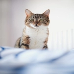 谷歌推广公司哪家好