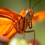 Sheglam- 女性力量在美妆领域的闪耀