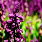 卡航对跨境电商的帮助