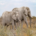 虾皮无货源模式能赚到钱吗