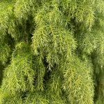 给大家介绍一个免费图库网站Visual Hun