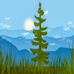 亚马逊店铺链接怎么看