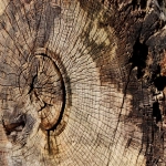 listing是什么意思以及如何优化